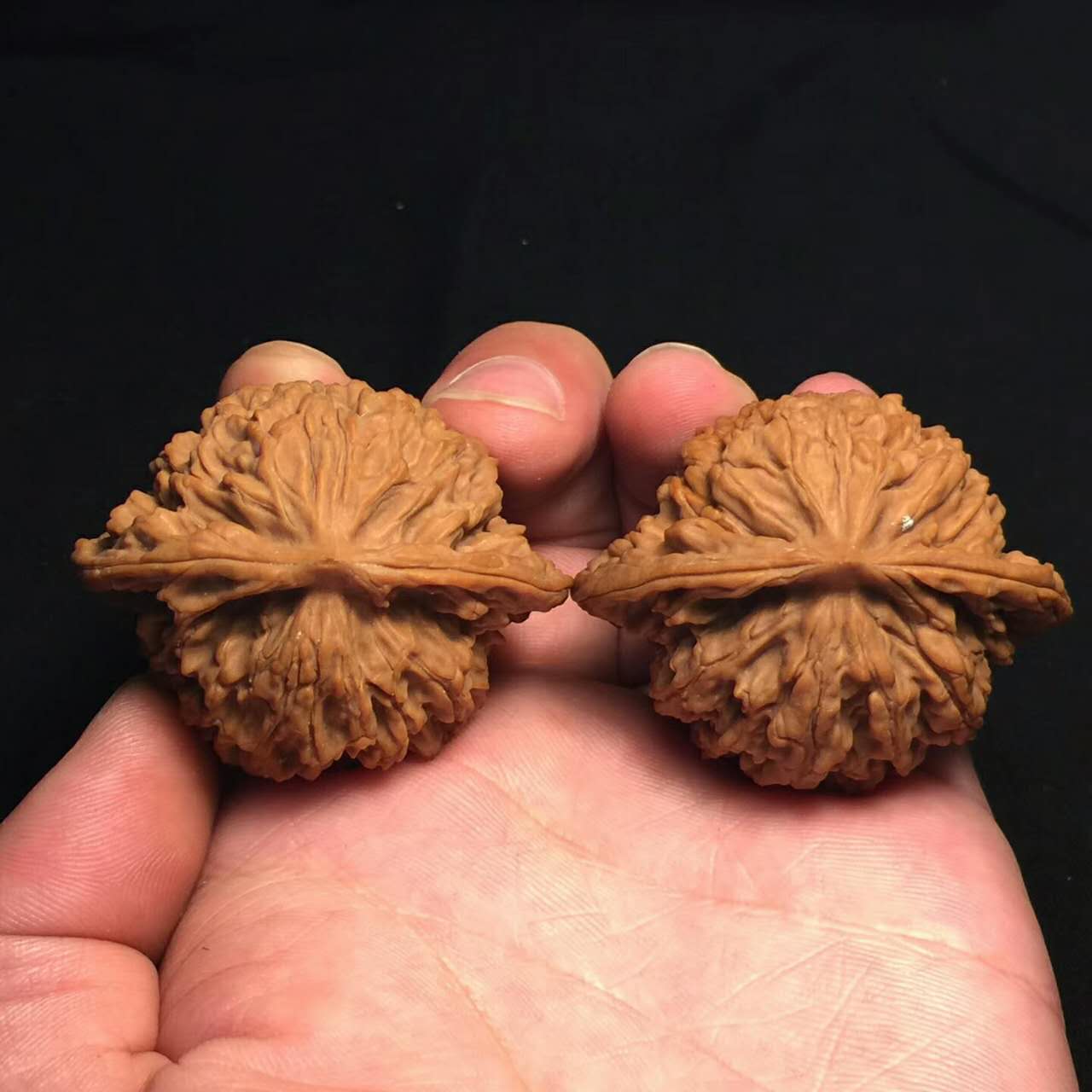 文玩核桃的魅力究竟在哪儿,文玩核桃为什么值钱