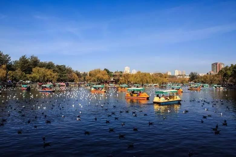 9月机票价格走势,机票白菜价140元起全国各地出发