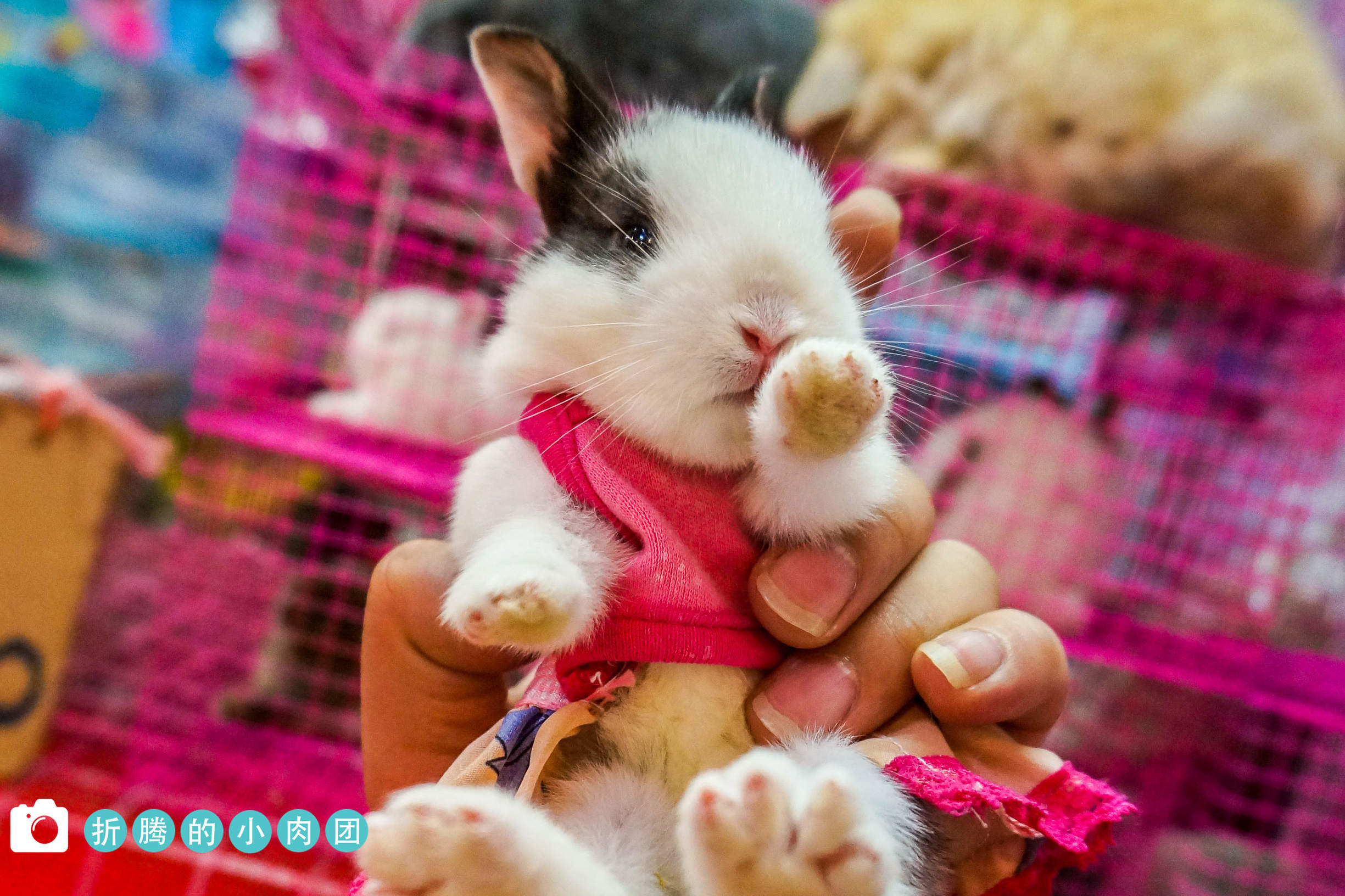 泰国曼谷导游推荐,泰国曼谷哪个地方购物便宜