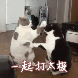 72岁老人误吞枣核后遗症,误吞枣核到小肠