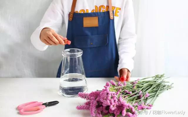 勿忘我如何打理最好,勿忘我怎么养才不会枯萎