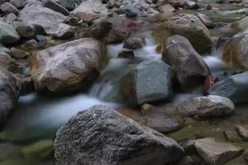 朱卫东葡萄酒品种,葡萄酒的酿造和品鉴心得体会