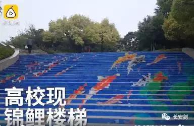 奥巴马卸任时对特朗普的警告,奥巴马卸任演讲调侃希拉里特朗普