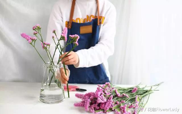 勿忘我如何打理最好,勿忘我怎么养才不会枯萎