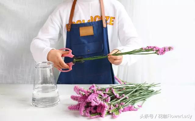 勿忘我如何打理最好,勿忘我怎么养才不会枯萎