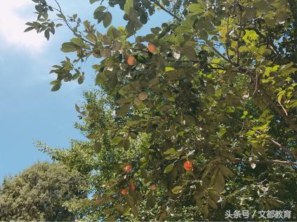 北京印刷学院春季开学时间2022年,北京印刷学院开学季