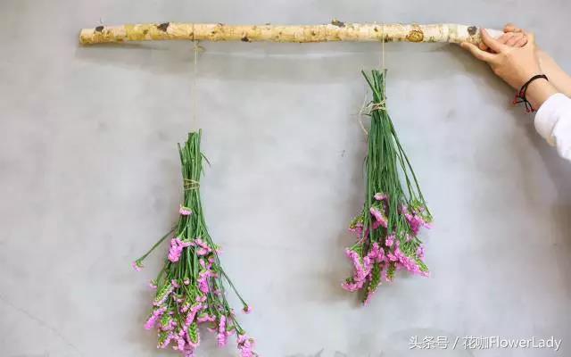 勿忘我如何打理最好,勿忘我怎么养才不会枯萎