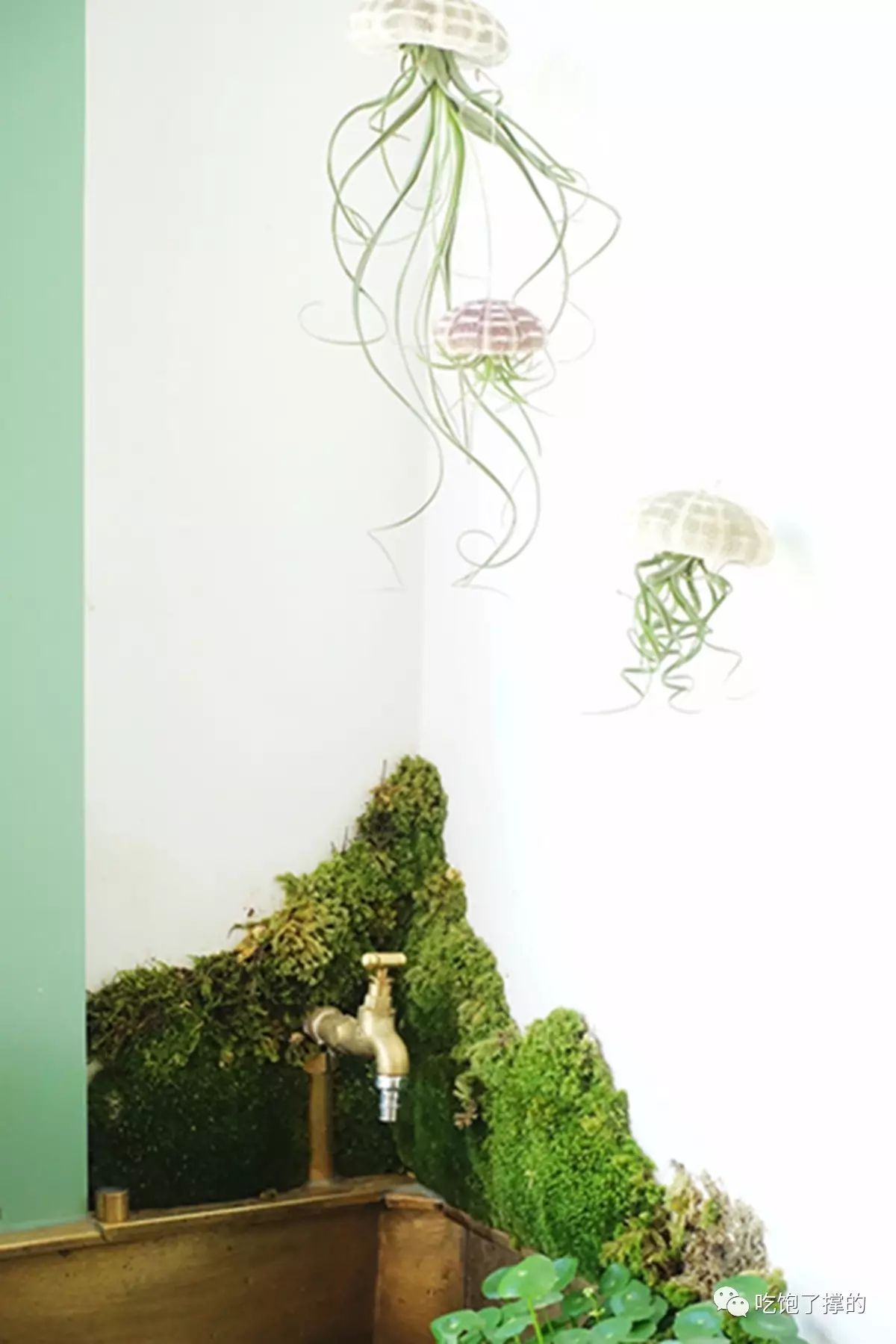 轻奢小众高级花店,有文艺气息的花店