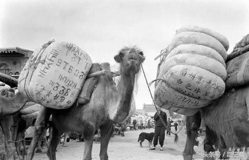 四川人珍贵影像生活方式纪录片,中国珍贵影像生活视频大全