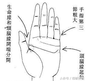 女人面相,女人面相和手相区别