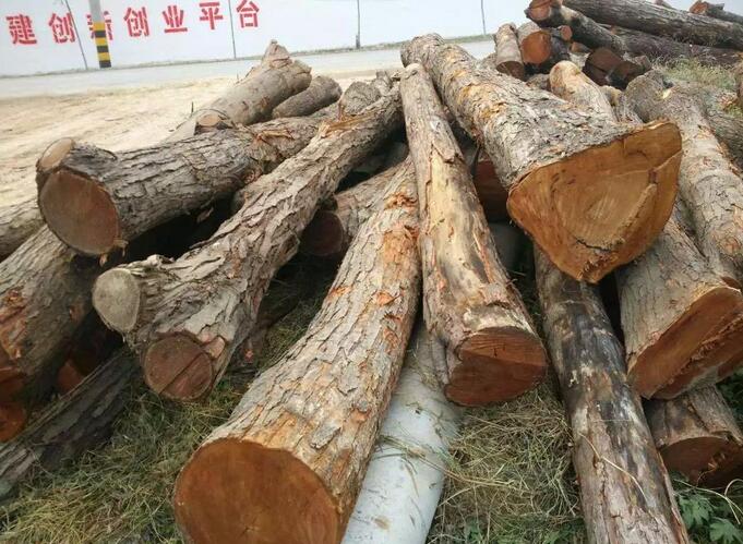 红椿木地板安装效果,红椿木做床有忌讳吗