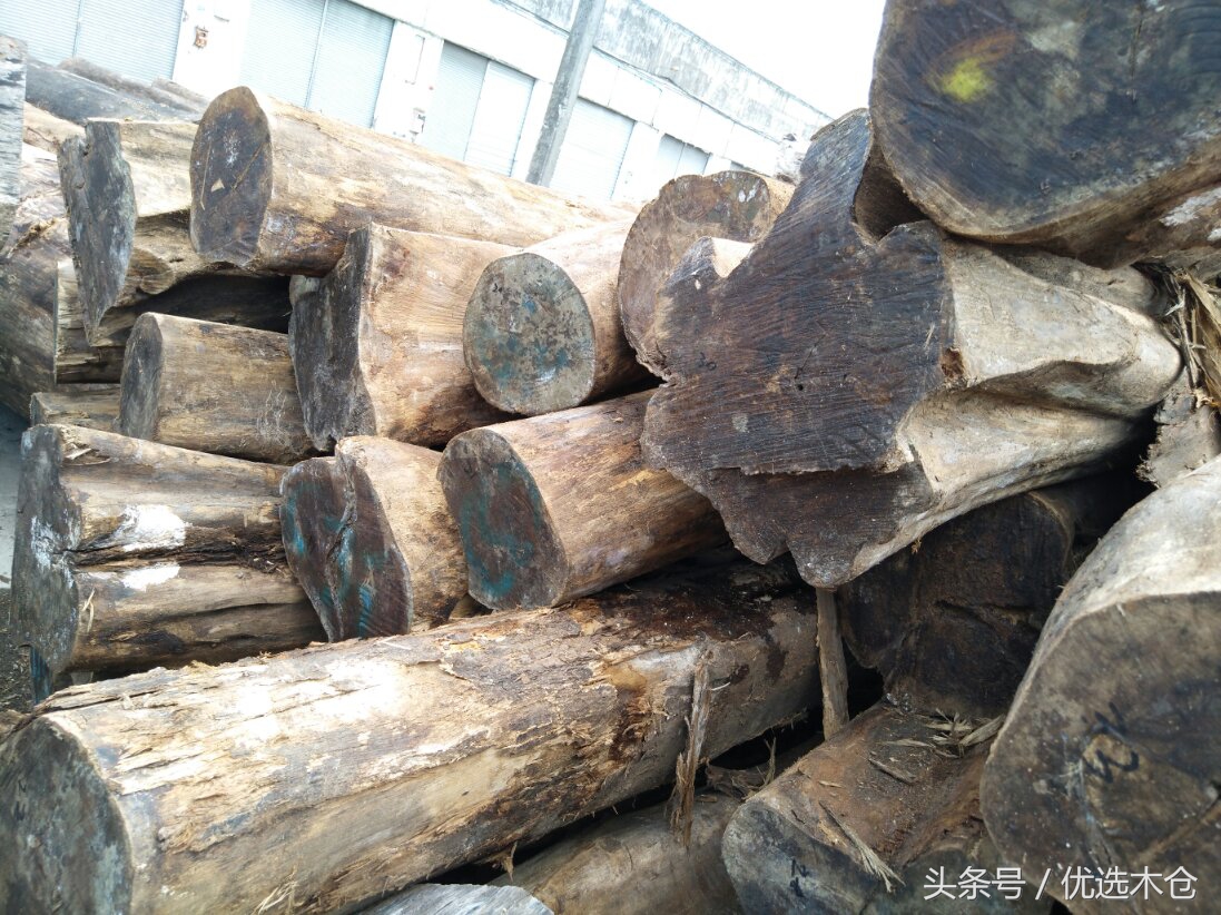 美洲胡桃木和红木家具,木材南美柚木