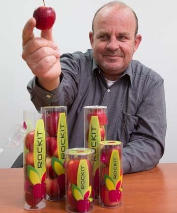 新西兰奇异果是几月的水果,新西兰奇异果大全