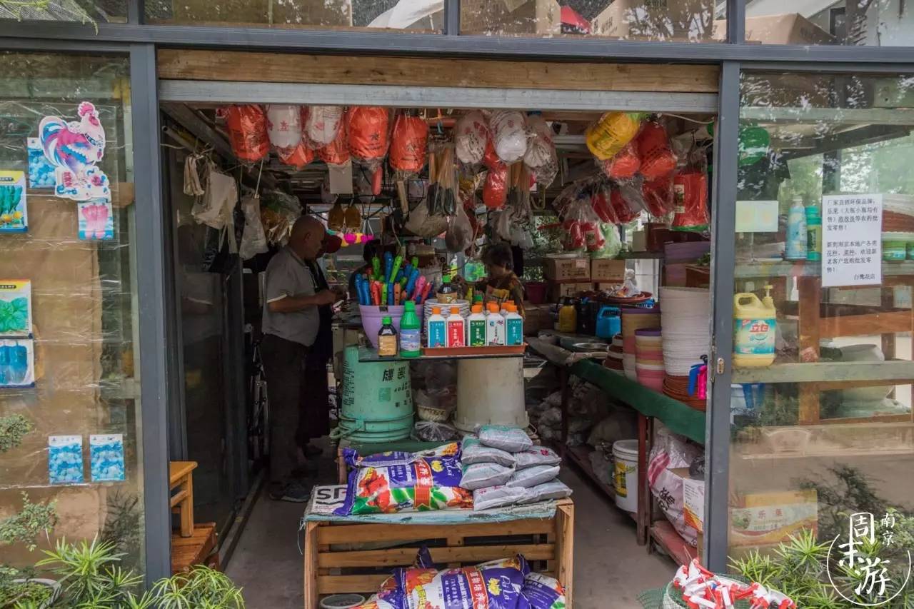 南京花鸟鱼虫市场,逛遍市场