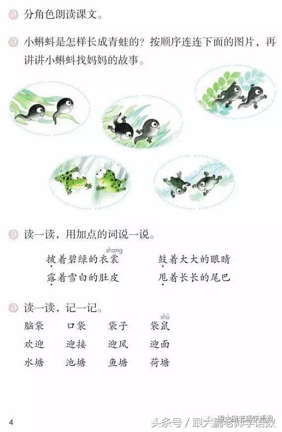 小蝌蚪找妈妈课文讲课ppt,小蝌蚪找妈妈课件