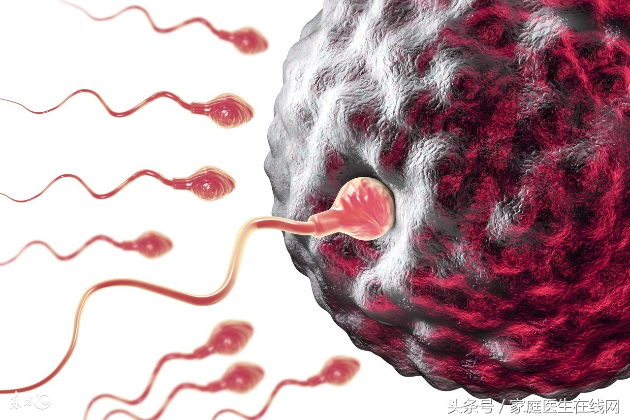 这三种食物可以帮助你睡眠,养精补肾的食物有哪些