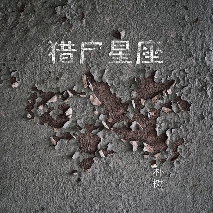 朴树我不怕老我怕失去勇气,朴树说勇气是衡量年纪的