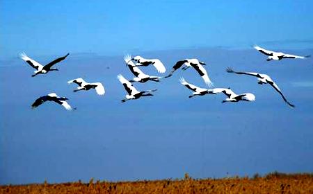 品味生活享受人生意义,品味生活升华自己启迪他人