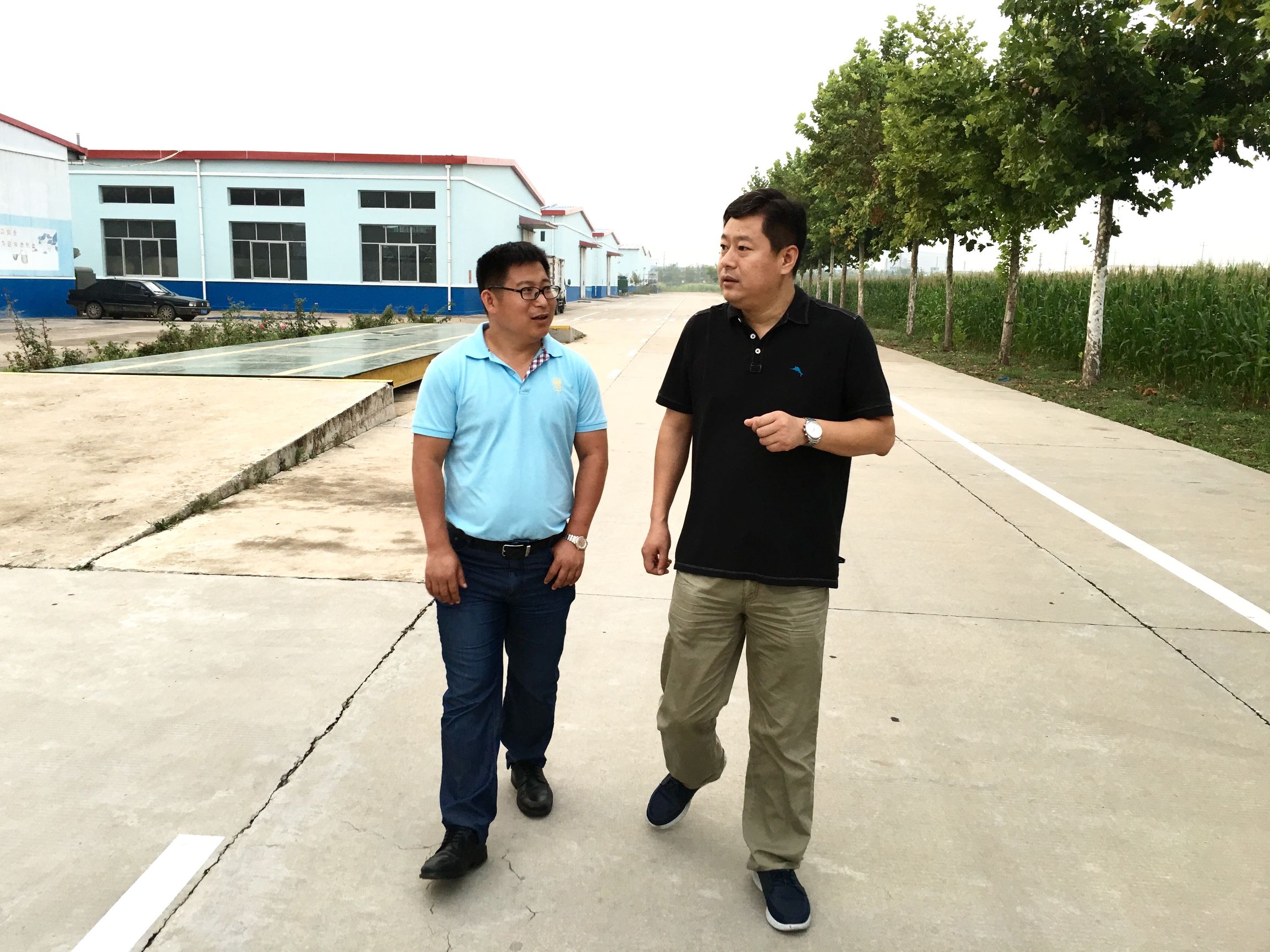 花生油是怎样榨出来的,花生油是怎么榨的