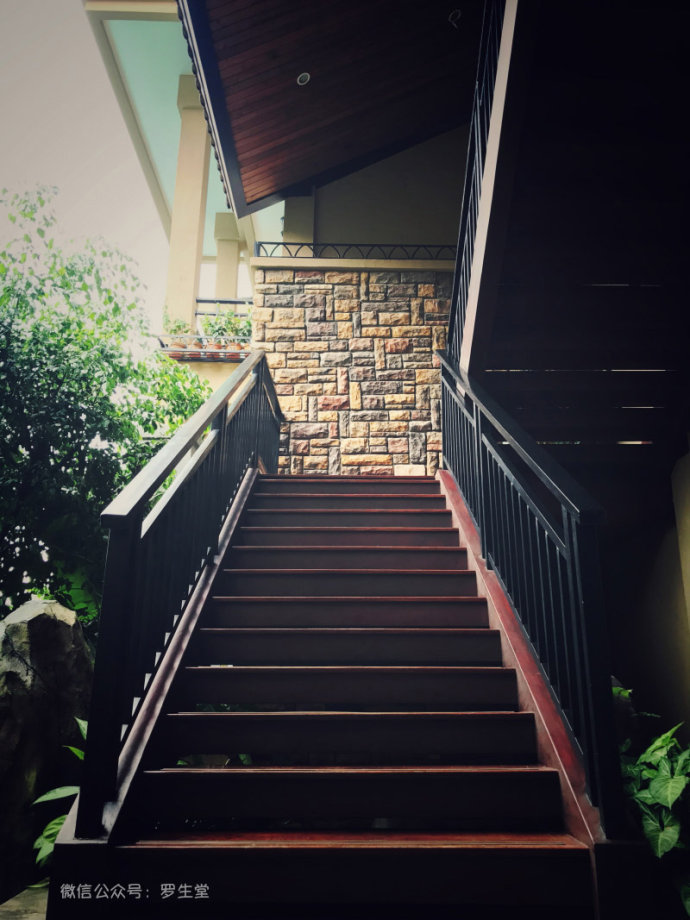 热带雨林里的美食，来这里吃的全是特色！