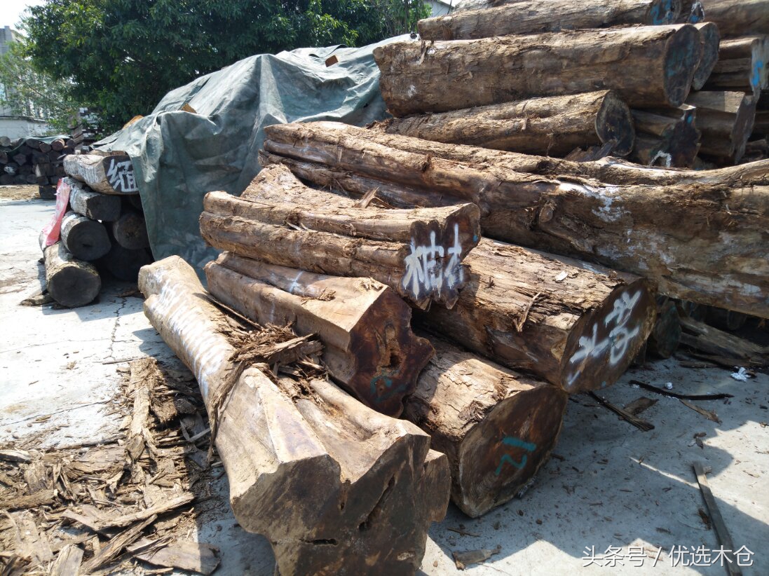 美洲胡桃木和红木家具,木材南美柚木