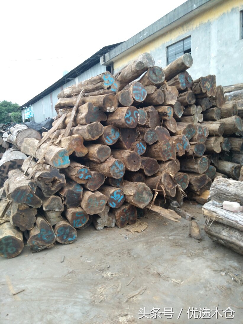 美洲胡桃木和红木家具,木材南美柚木