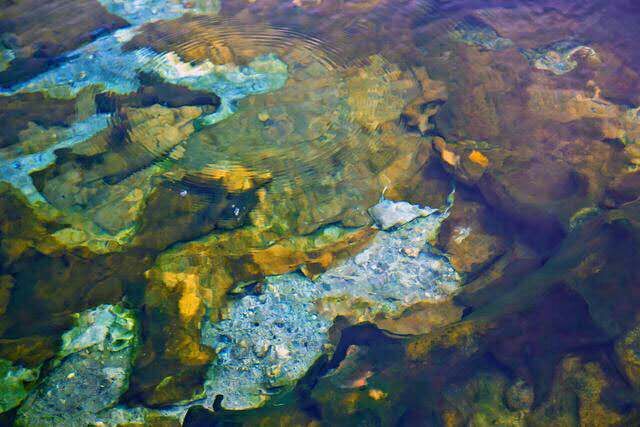 漂洋过海去泡你，这叫泡温泉，你那顶多叫泡澡！99%人是泡假温泉