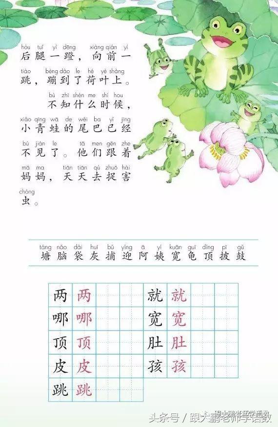 小蝌蚪找妈妈课文讲课ppt,小蝌蚪找妈妈课件