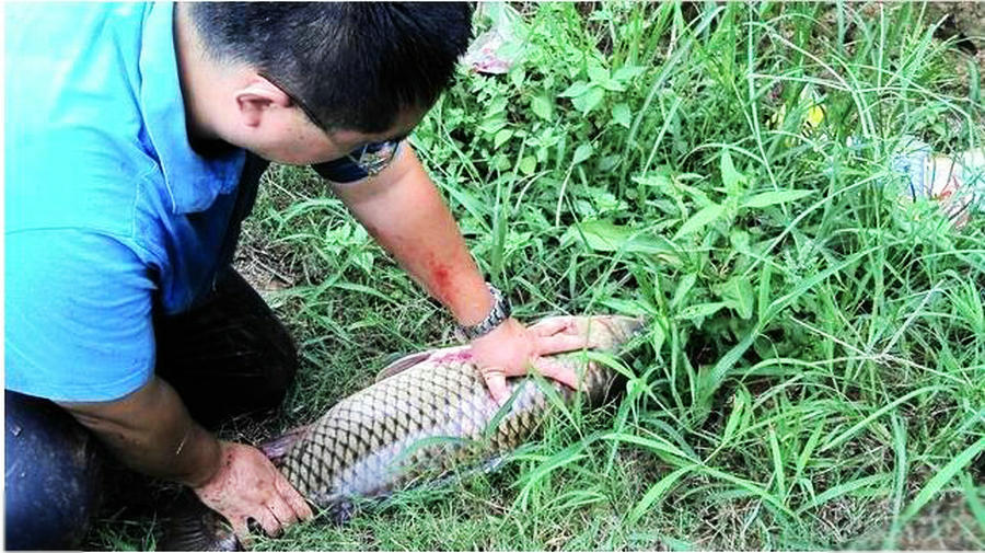 打窝的绝招,打窝钓鱼的手段