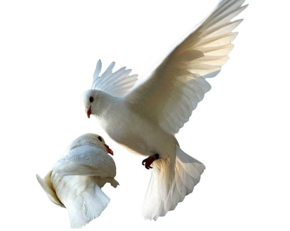 地球从来就不缺少神秘——关于地球上的10种自然谜团