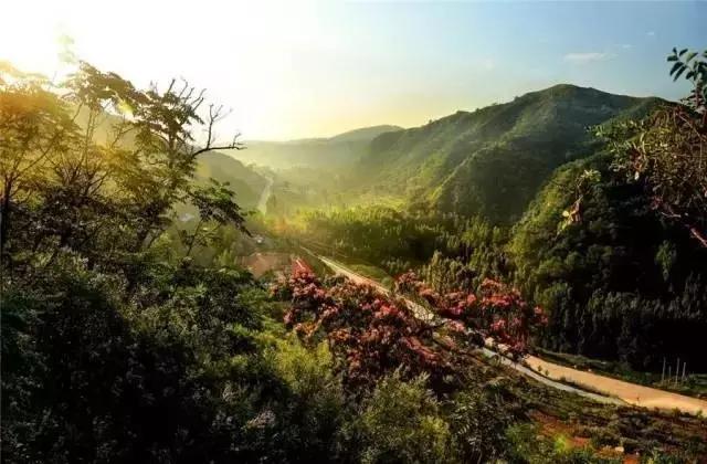 在济宁生活必须知道的这些事，实用！