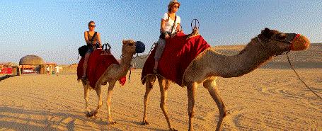 手持稳定器怎么才能更稳 (什么手持稳定器弱爆了)