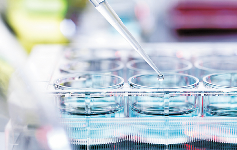 进口食品质量出现问题怎么办,进口食品应注意的问题