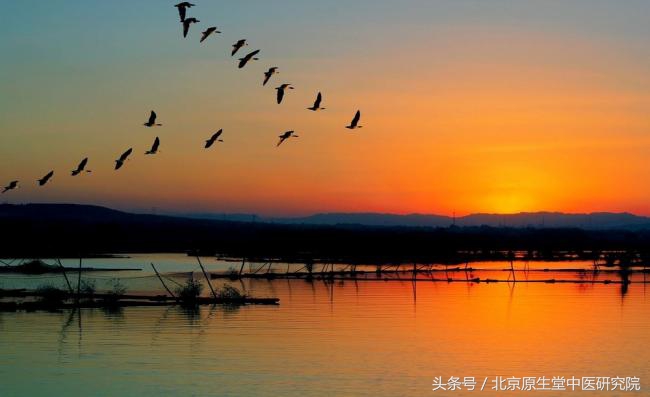 二十四节气白露高清图,二十四节气之白露儿歌