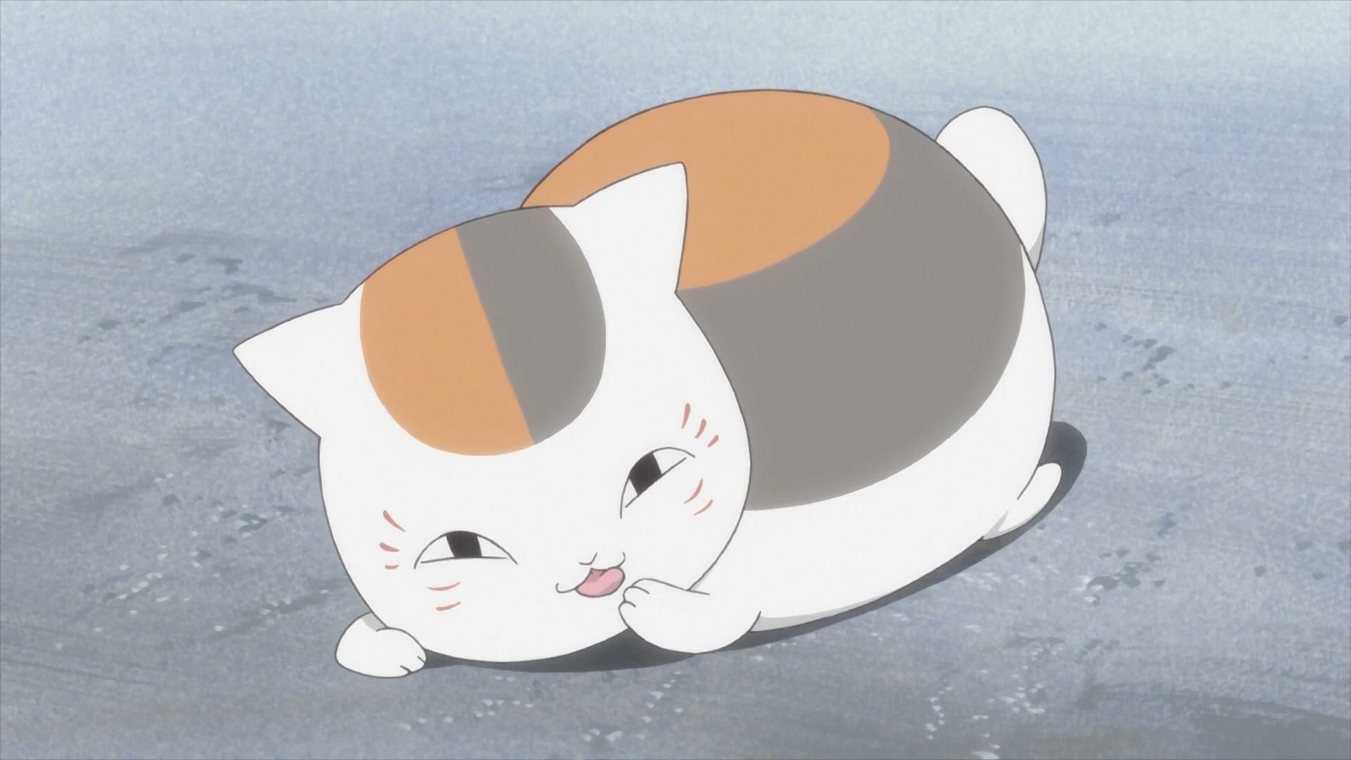 又可爱又好看的动漫猫,日本网友评选的最可爱的动漫角色