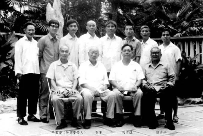 五虎上将武功卓著,杨氏太极拳领军人物