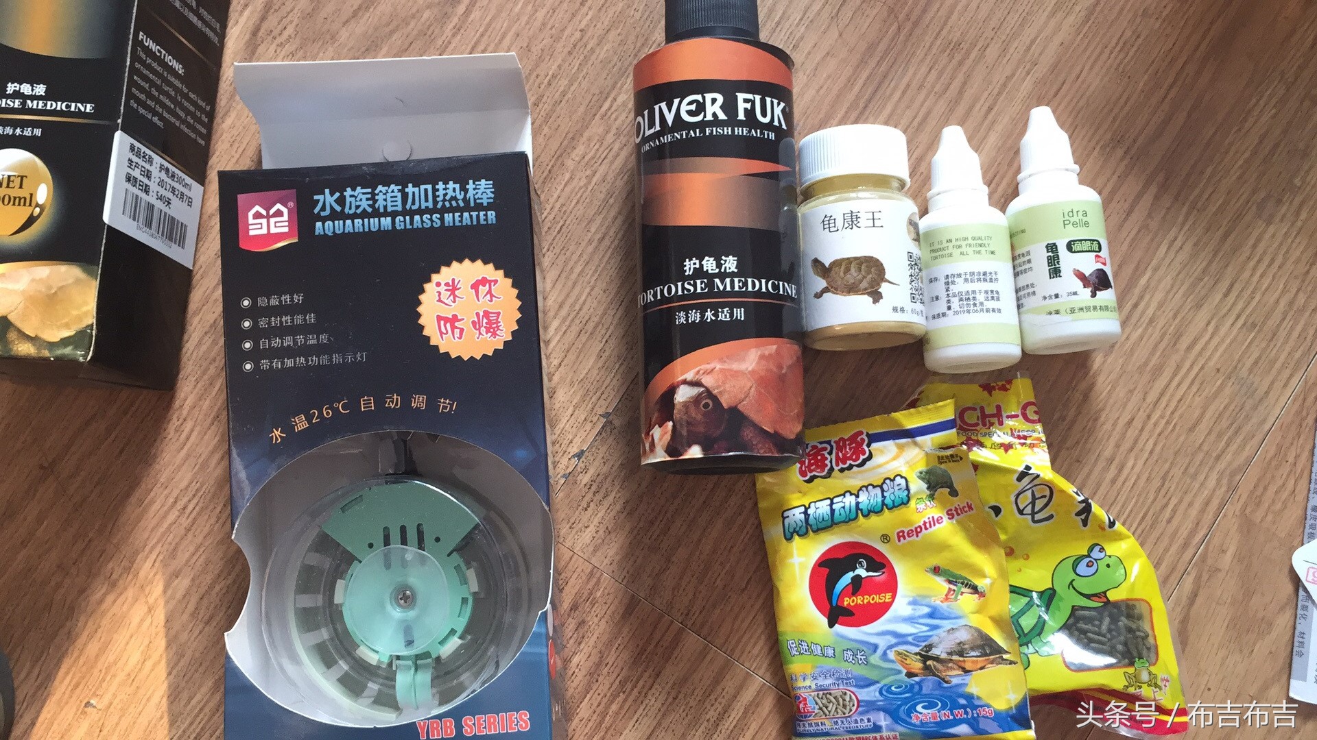 养龟的真实血泪史,养龟的悲剧视频