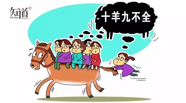 怎么说属羊的女人八字大,91属羊是木命还是土命