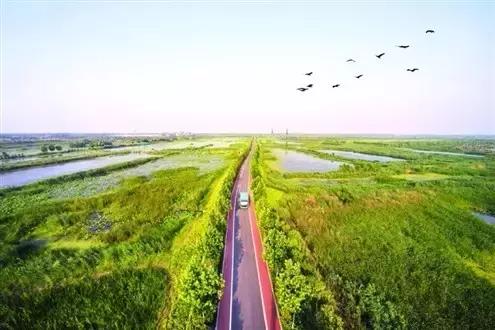 在济宁生活必须知道的这些事，实用！