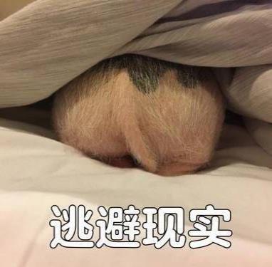 代购真的那么不可靠么,代购靠谱吗有多坑