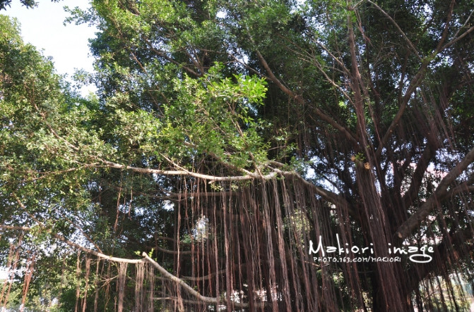 厦门吃喝玩特色,厦门吃喝玩乐烧烤