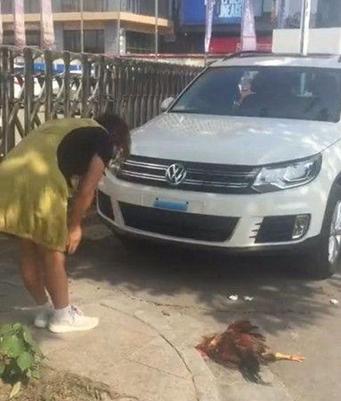 买新车一般需要怎么庆祝,买了新车用什么方法庆祝