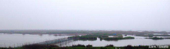 浙江玉环漩门湾国家湿地公园灯光,浙江玉环漩门湾湿地公园拍鸟