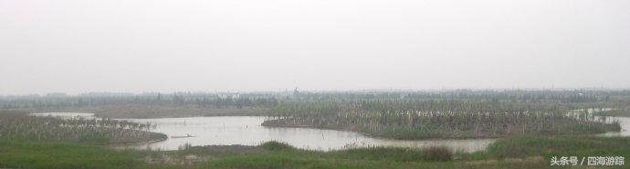 浙江玉环漩门湾国家湿地公园灯光,浙江玉环漩门湾湿地公园拍鸟