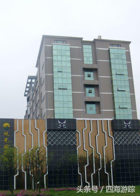 浙江玉环漩门湾国家湿地公园灯光,浙江玉环漩门湾湿地公园拍鸟