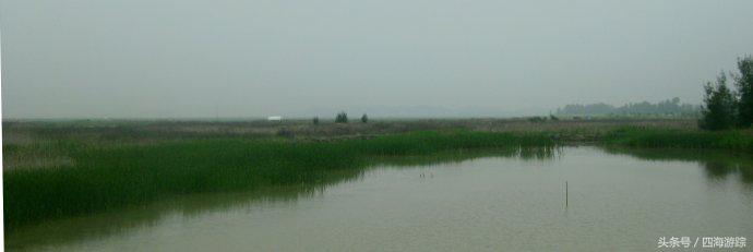 浙江玉环漩门湾国家湿地公园灯光,浙江玉环漩门湾湿地公园拍鸟