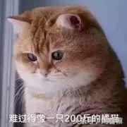 要排队才能吃到的美食,要排队才能吃到的美味