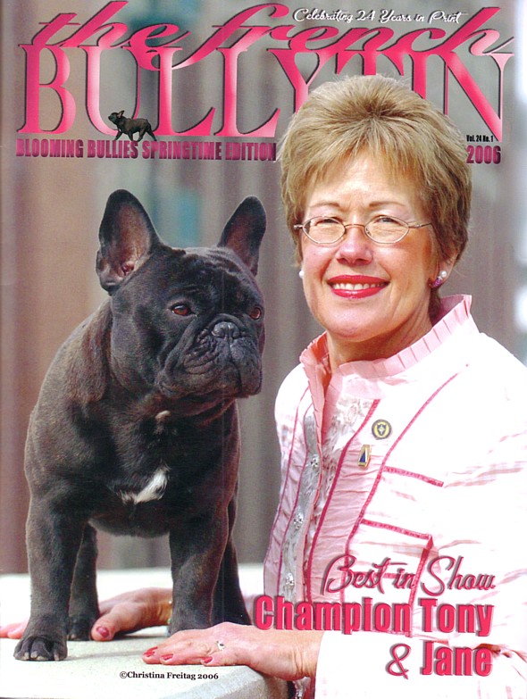 美国akc犬品种大全,法国斗牛犬详情介绍大全