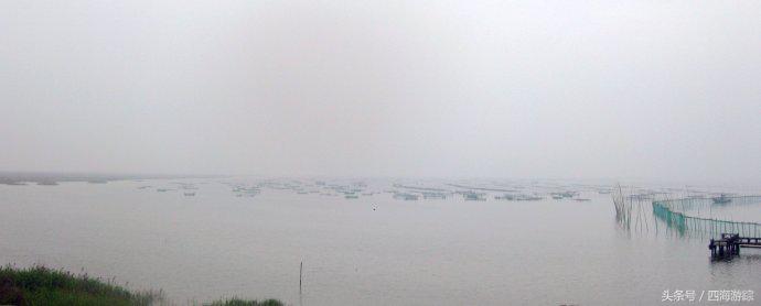 浙江玉环漩门湾国家湿地公园灯光,浙江玉环漩门湾湿地公园拍鸟