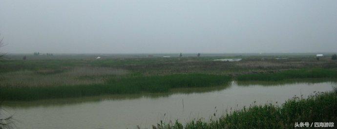 浙江玉环漩门湾国家湿地公园灯光,浙江玉环漩门湾湿地公园拍鸟